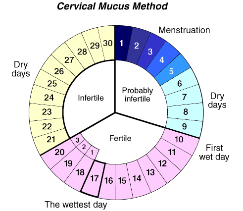 CM chart